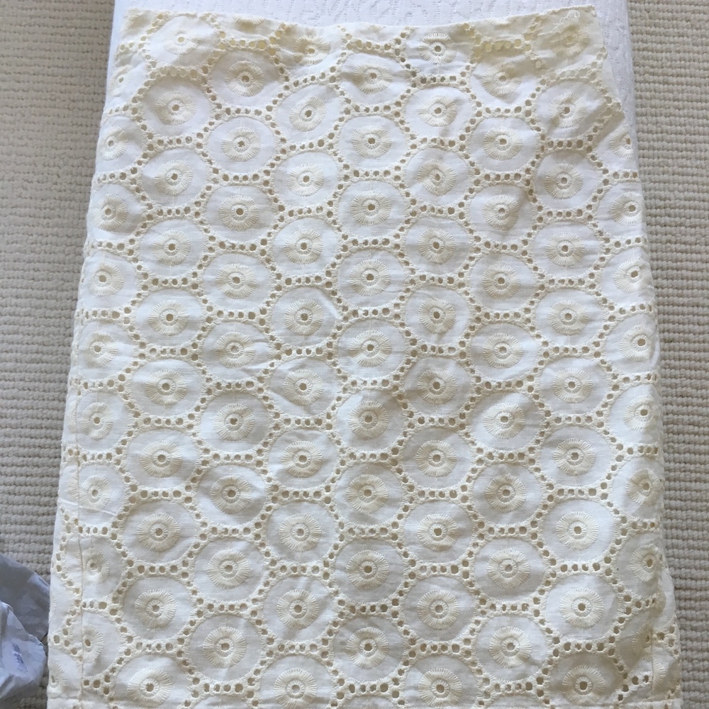 Ann Taylor Pencil Skirt